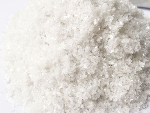 新聞中心 新聞中心