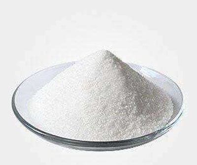 新聞中心 新聞中心