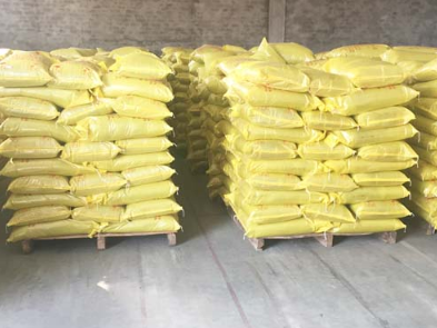 新聞中心 新聞中心